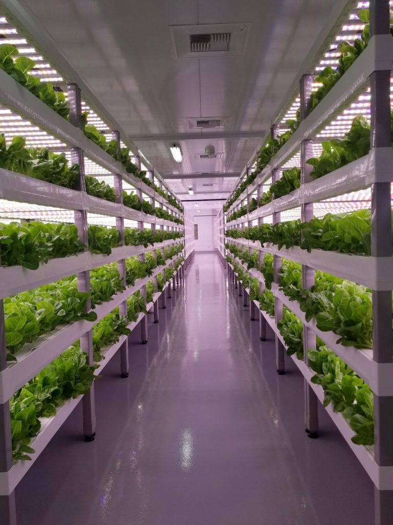 Vertical farming: the myth of resource efficiency – WDRG